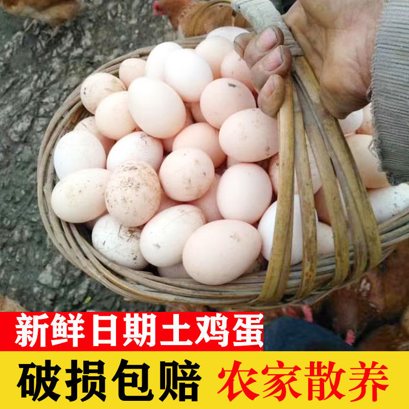 农家纯土20枚鸡蛋散养山林新鲜