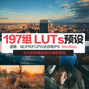 Pr等 197组微电影胶片时尚 达芬奇 MV视频调色LUTS预设 FCPX