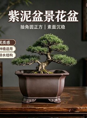 宜兴紫砂云脚抽角四方兰花盆