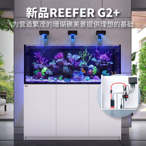 以色列红海豪华版SPS鱼缸玻璃