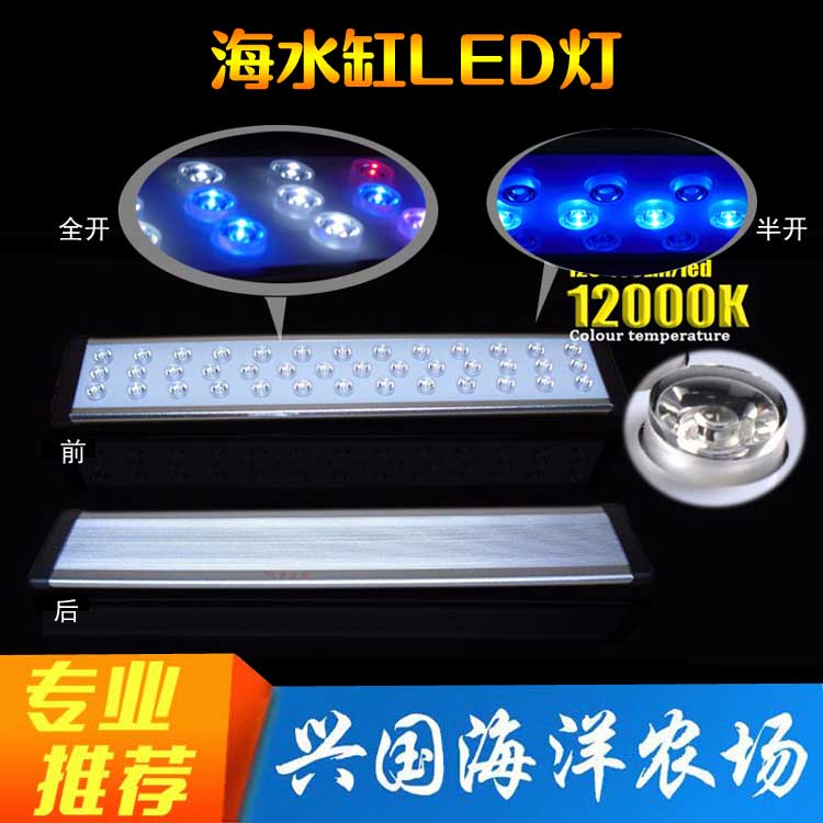 珊瑚灯海水缸景丰led照明灯大功率海水爆藻灯软体lps便宜低价 兴国海洋农场 淘优券