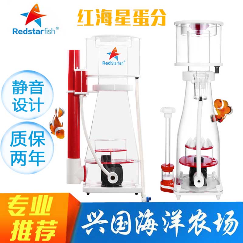水族海缸海水蛋白质分离器红海星