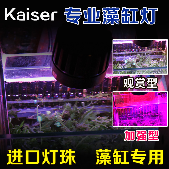 珊瑚夹灯kaiser海缸补光AST海水
