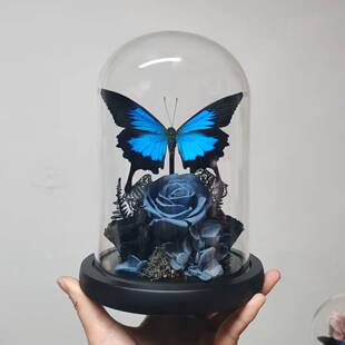 天堂凤蝶真蝴蝶标本玻璃罩摆件手工生日礼物干花永生花暗黑玫瑰