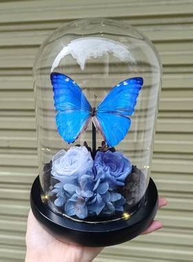 安东尼斯闪蝶真蝴蝶标本生态摆件手工生日礼物干花永生花暗黑玫瑰