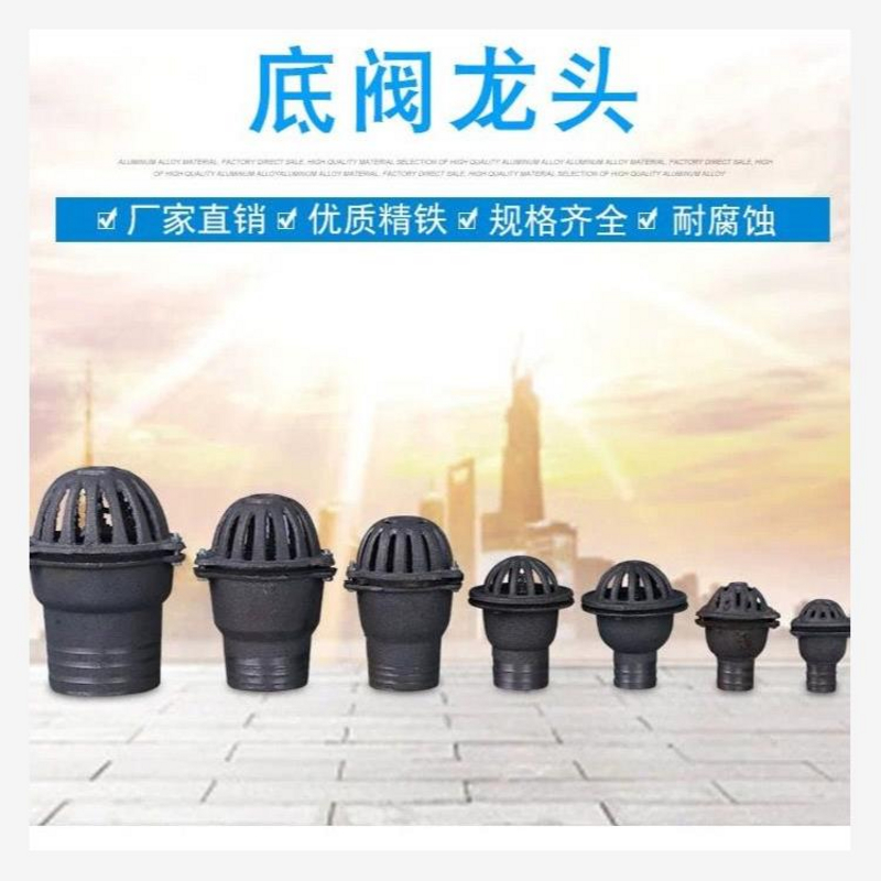 混凝土搅拌机水泵莲蓬头自吸泵家用水泵铁质吸水底阀止回阀配件