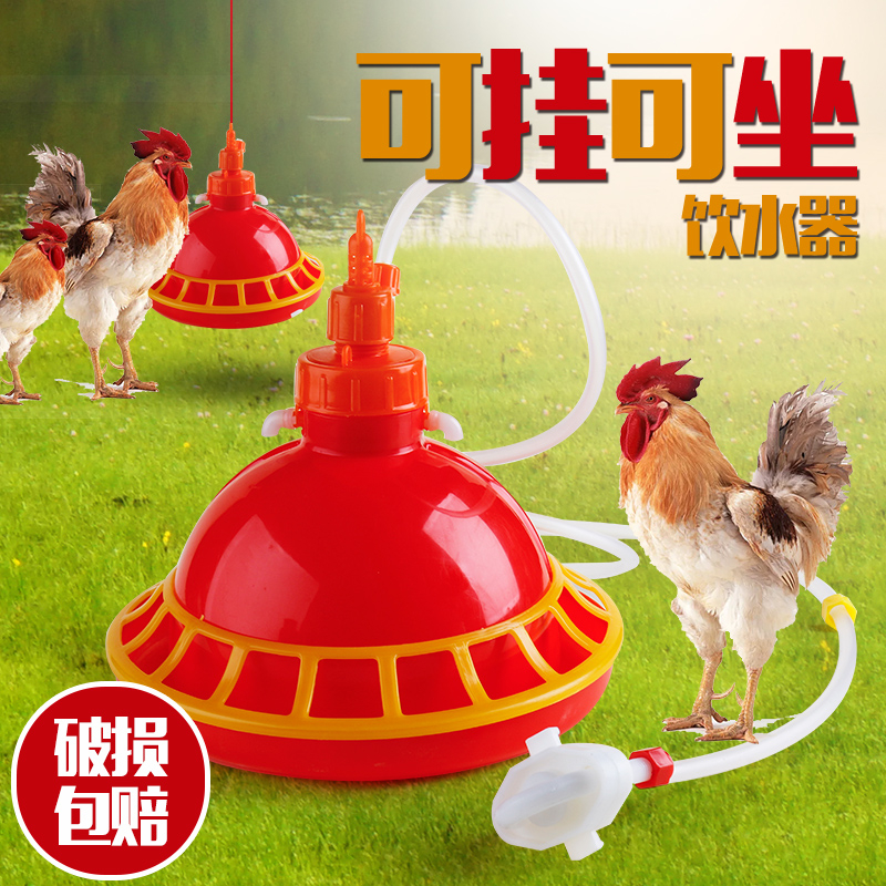 鸡用自动饮水器普拉松鸭鹅喂水器小鸡加水壶养鸡养殖设备鸡用品