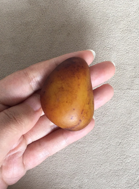 58.10g新疆和田玉籽料原石籽料1枚如图库存旧藏文玩艺术收藏