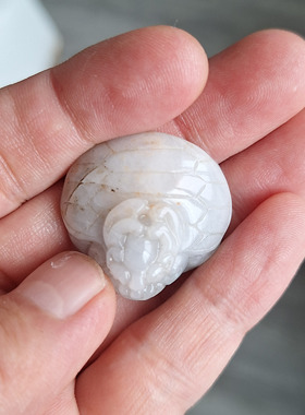 17.29克翡翠《龙龟》（背小绺）孤品挂件珠宝玉石文玩艺术收藏