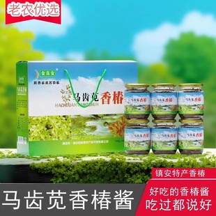 陕南特产镇安金真安马齿苋香椿菜下饭菜酱菜开胃菜咸菜夹馍酱包邮