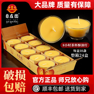 自在园达伦特酥油灯8小时玻璃小茶杯蜡烛长明供佛灯家用无烟整箱