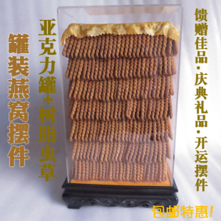 四方罐装 虫草摆件树脂工艺品礼品摆件店铺陈设饰品展品