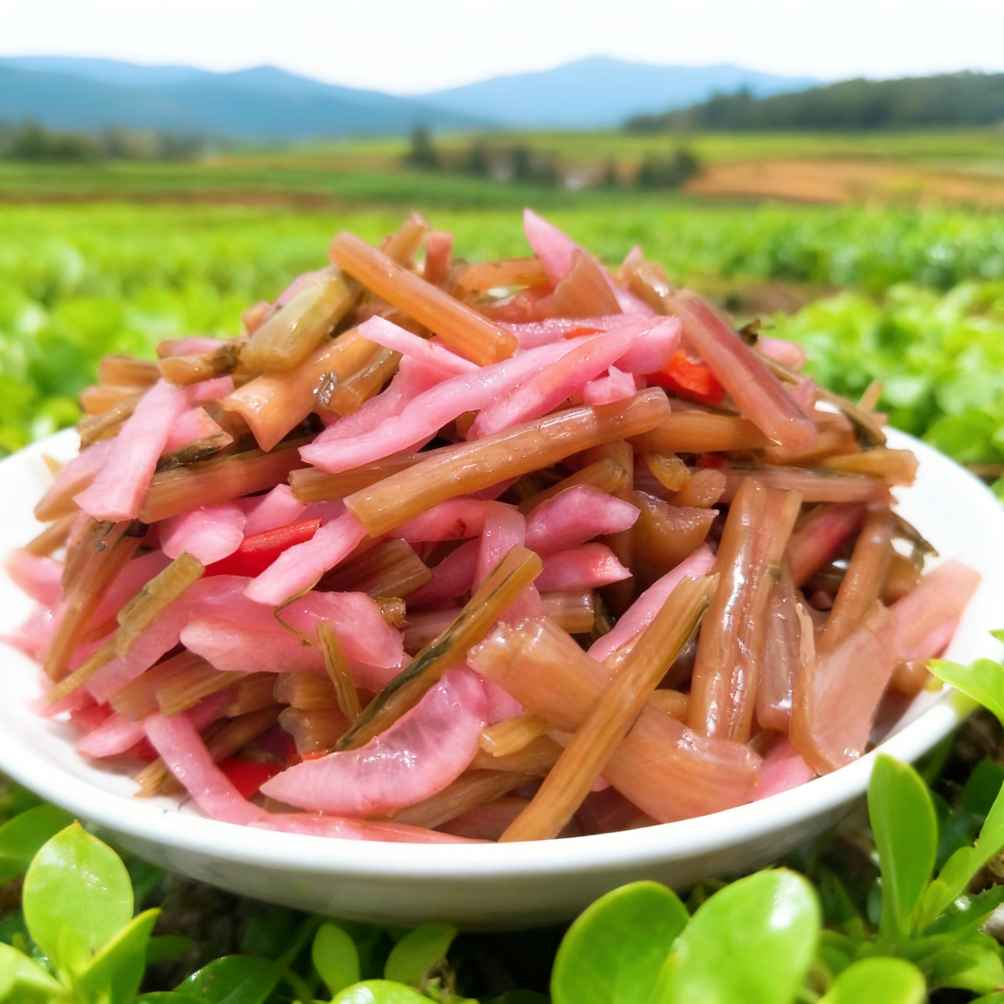 陕西安康特产酸萝卜杆农家老坛酸菜杆杆调料凉拌腌菜泡菜萝卜缨子