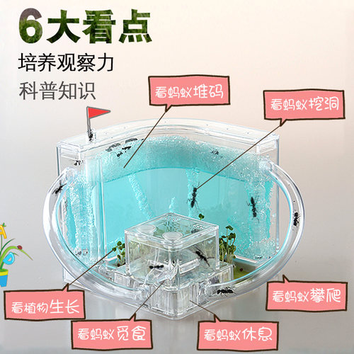 蚂蚁工坊 蚂蚁城堡家园庄园蚁后 蚂蚁宠物 送蚂蚁活体幼儿学玩具 - 封面