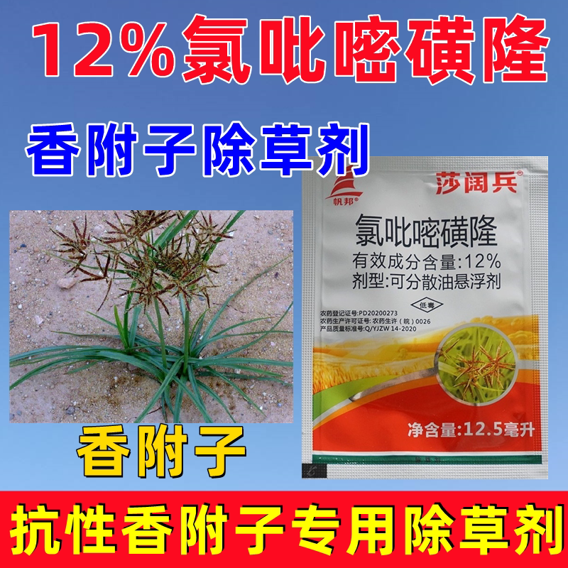 香附子除草剂 氯吡嘧磺隆莎草净香附净香附子专用除草烂根剂正品
