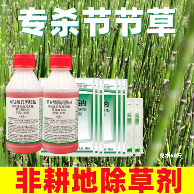 节节草烂根除草剂正品