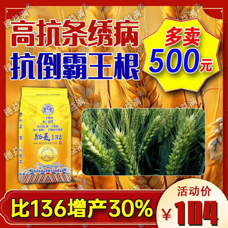 农科院小麦种子郑麦132高产稳产矮杆抗倒伏抗病麦种大穗大粒秋播