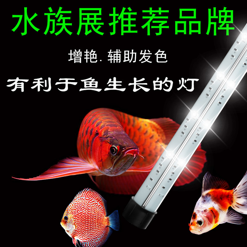 红龙灯锦鲤灯七彩神仙灯金鱼灯鹦鹉三湖罗汉鱼缸灯鱼恋之光潜水灯