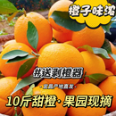 果园现摘橙子礼盒装 精挑20斤宜昌秭归脐橙 送剥皮器 火星农场