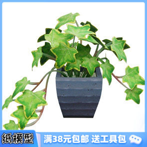 3D纸模型手工diy礼物  仿真植物 常春藤