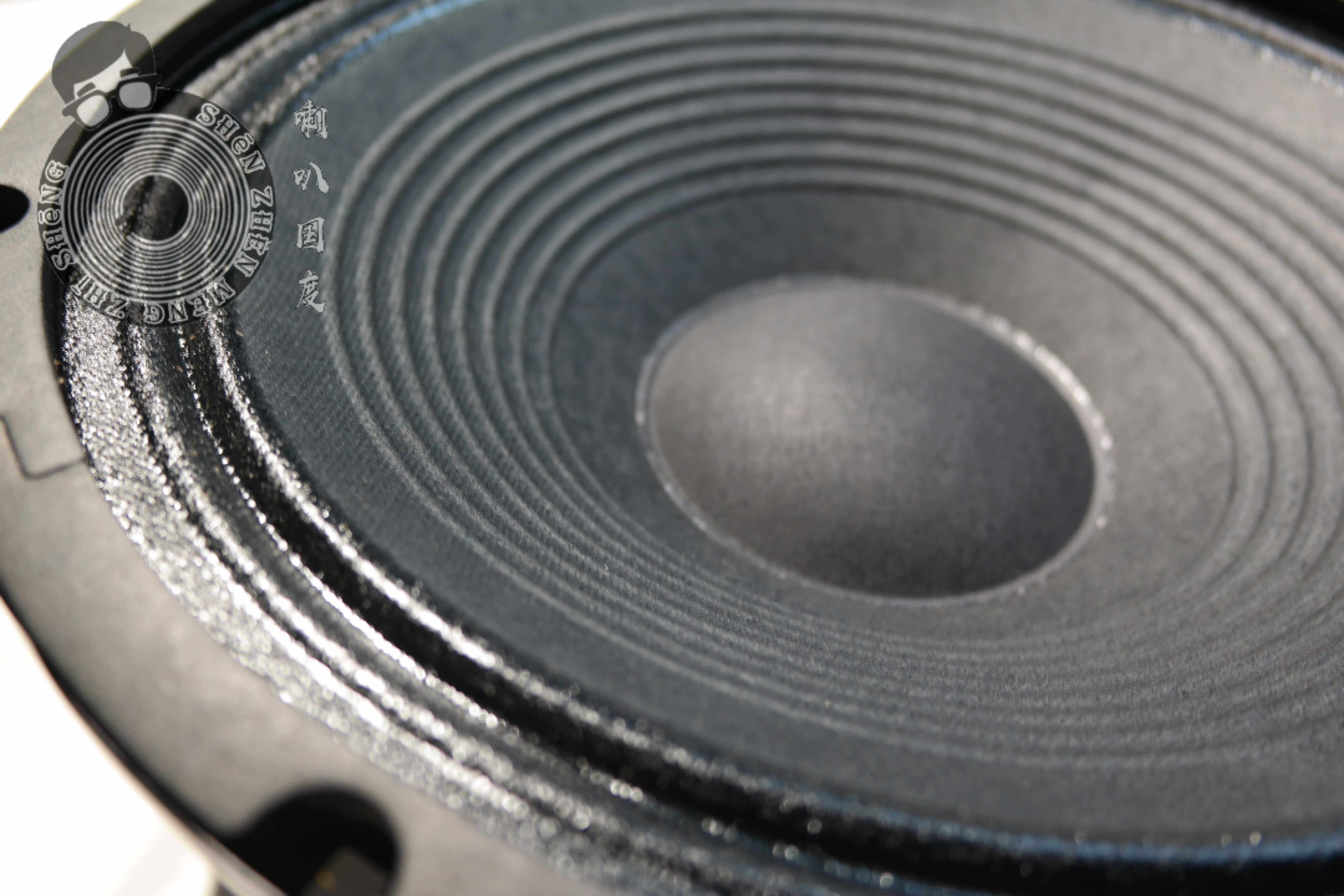 12寸电吉他全频喇叭可家用人声发烧Randall兰德尔 rg100原装单元