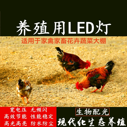 养殖专用LED灯泡暖光白黄光灯泡蛋鸡鸭养猪牛农场花卉大棚灯照明
