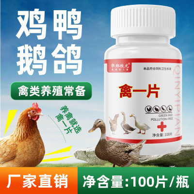 正品禽一片鸡病全治养鸡专用药鸡鸭鹅流感软便药禽类急救片鸽子