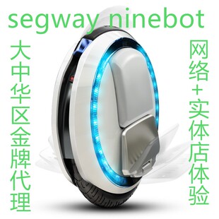 One E加强版 N3O 续航30km耐造 纳恩博Ninebot 时速24km one