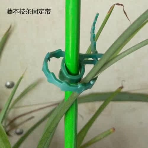 蝴蝶绑扎结实 固定/扎线扎带/园艺扣用品圈 爬藤牵藤蔓植物用麻绳|ruв категории доставка цветов/цветок моделирования/растения садоводства, садовых принадлежностей, других садовых принадлежностей - от Buy2taobao.com для оказания профессиональной услуги покупки агента Taobao