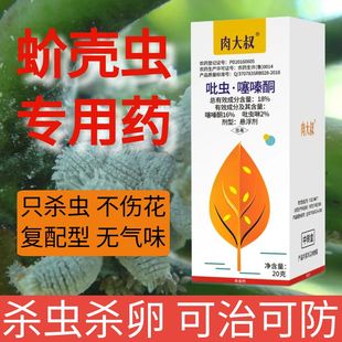 多肉大叔蚧壳虫专用杀虫剂喷雾介壳虫专杀吡虫啉噻嗪酮园艺植物药