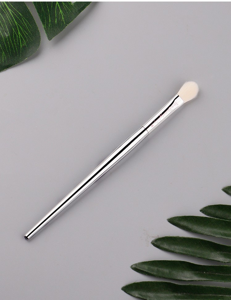 it细节初学者沧州银色化妆刷