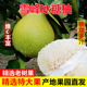 湖南怀化安江雪峰山冰糖柚雪峰柚子新鲜药柚单果700克以上特大果