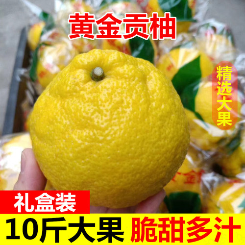 纯甜无酸湖南黄金贡柚大果10斤