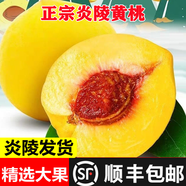 正宗湖南炎陵黄桃现摘当季新鲜水果红心高山锦绣桃子10斤包邮