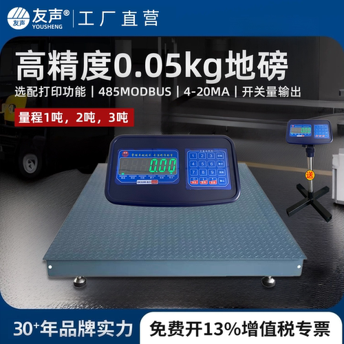 友声0.05kg0.1kg高精度地磅秤