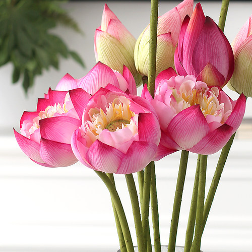 手感荷花仿真花场景布置拍照道具