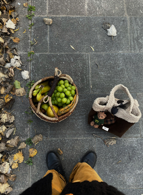 OneBlueNook丨烤栗系列#2 · 秋冬咖啡色灯芯绒 羊羔毛复古手拎包