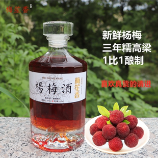 正宗杨梅酒仙居农家自酿浙江特产梅子酒果酒精品1斤原浆酒