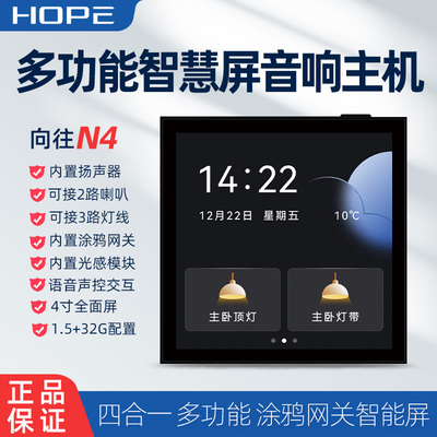 Надежда жаждет N4 Smart Home Central Control Host Smart Screen Light Switch Switch Tuya Gateway Wi -Fi Voice and Audio