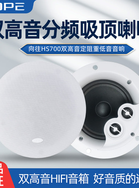 Hope向往HS700/800高保真吸顶喇叭天花吊顶音响低音定阻环绕音箱