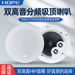 800高保真吸顶喇叭天花吊顶音响低音定阻环绕音箱 Hope向往HS700