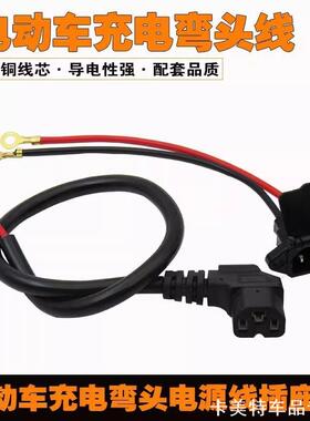 适用绿佳欧派新蕾赛鸽电动车铜芯插头充电线车充远台粗线字母