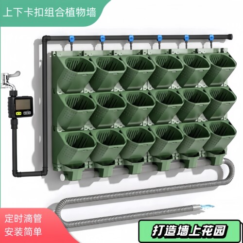 三孔种植盒室内垂直绿化真植物墙