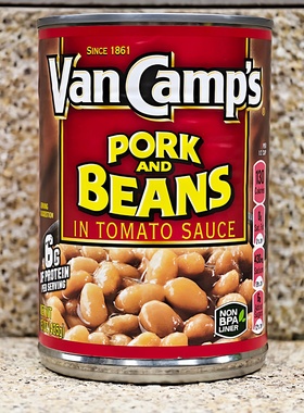 美国番茄汁猪肉焗豆子野餐露营即食罐头VANCAMPSBEANS PORK BEANS
