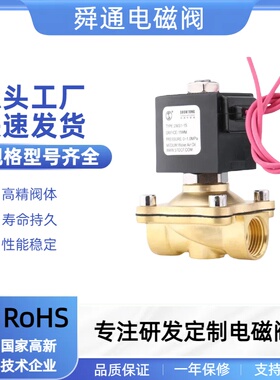 2WS1电磁阀AC220VDC24V黄铜进水DN15DN20DN25阀门防水线圈阀门