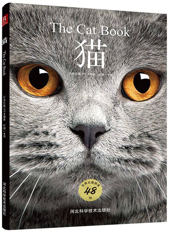 猫(48种世界名猫)百科全书猫图鉴养猫指南养猫手册宠物书籍喂养猫的品种大全鉴赏猫咪家庭医学大百科猫咪图书9787537594196怎么样,好用不?