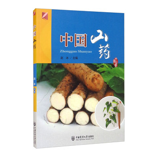 正版图书 中国山药 赵冰 石华 张妍 农业科学 山药种植 山药栽培技术  9787565523397 中国农业大学出版社