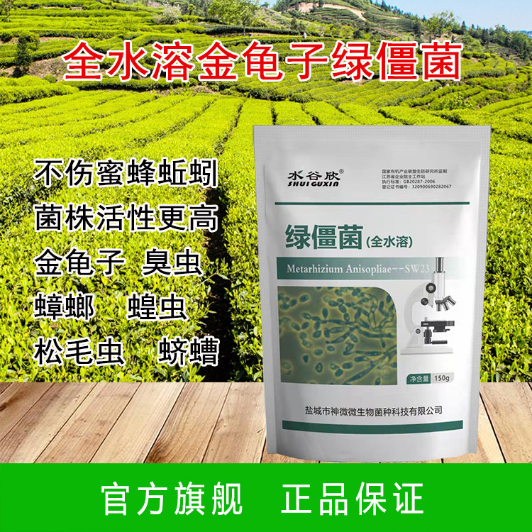 全水溶绿僵菌 广谱杀虫剂 甲壳害虫 蟑螂天牛蝗虫