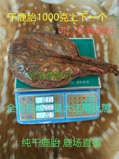 整个干鹿胎 鲜鹿胎 鹿胎盘梅花鹿干胎 干鹿胎 吉林梅花干鹿胎