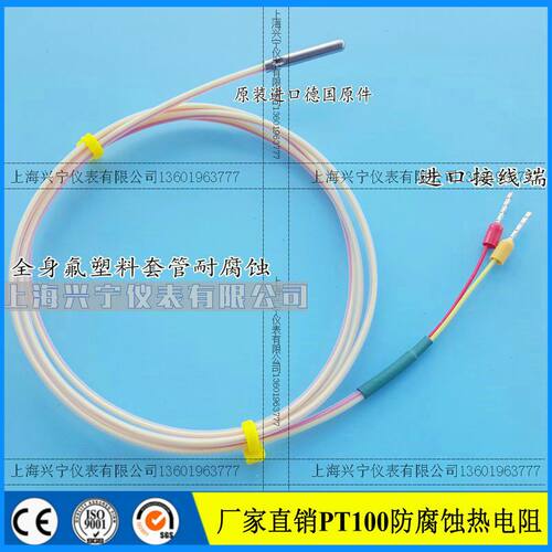 3*20mm,防腐蚀耐温300度,PT100热电阻,温度传感器探头